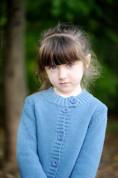 Retrato de niña adorable en suéter azul en el bosque de otoño —  Fotos de Stock