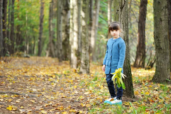 Schattig kind meisje in blauwe trui op de weg in de herfst bos — Stockfoto