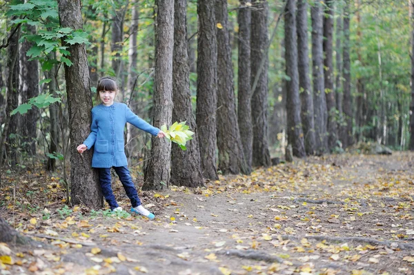 Schattig kind meisje in blauwe trui op de weg in de herfst bos — Stockfoto
