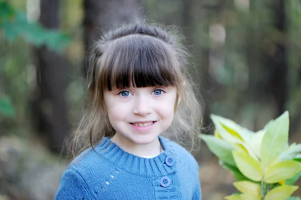 Retrato de niña adorable en suéter azul en el bosque de otoño —  Fotos de Stock