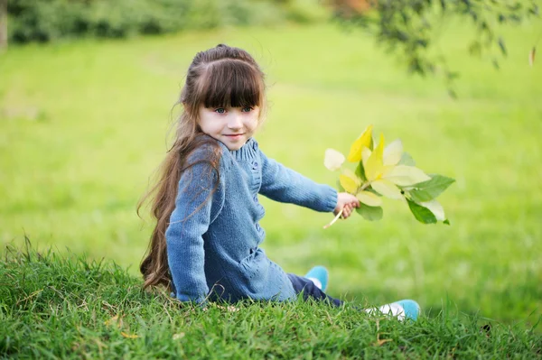 Menina adorável criança em suéter azul em um gramado na floresta de outono — Fotografia de Stock