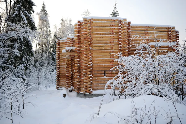 Maison de campagne en bois inachevée en hiver — Photo