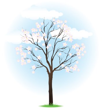Yeni gelişen ağaç bahar
