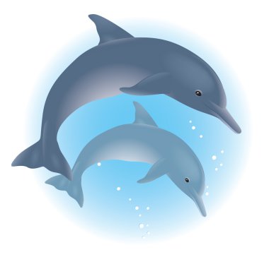 Two dolphins in the sea clipart