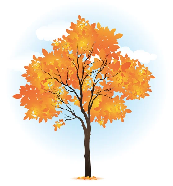 Sonbahar tek ağaç — Stok Vektör