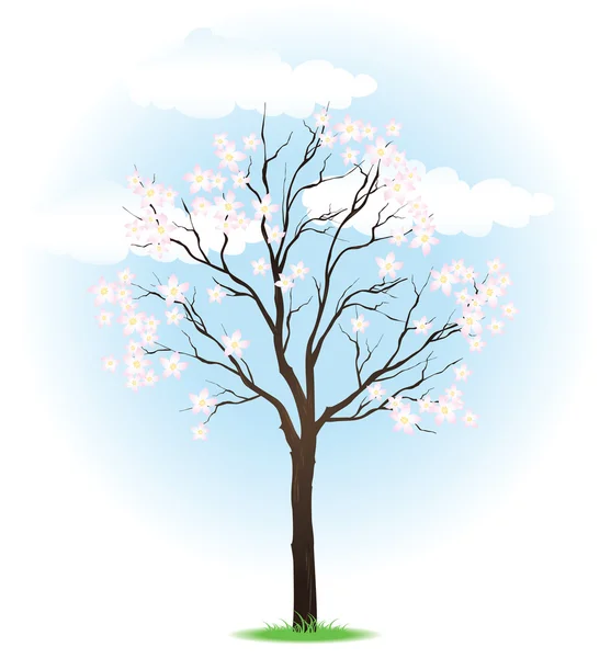 Yeni gelişen ağaç bahar — Stok Vektör