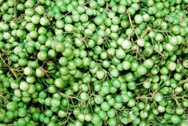 Solanum torvum at the market