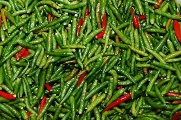 stock image Green peppers