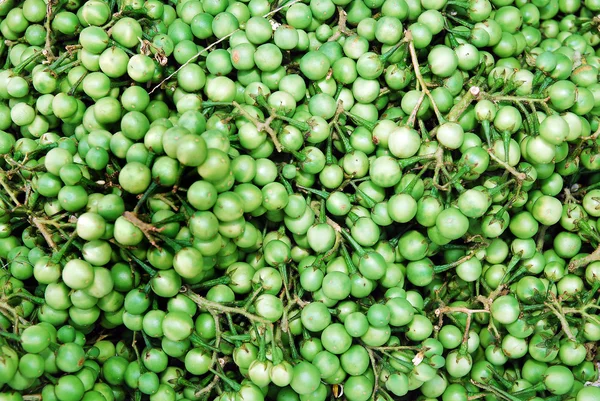 Solanum torvum på marknaden — Stockfoto