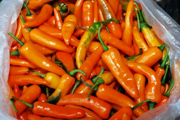 stock image Peppers in a market