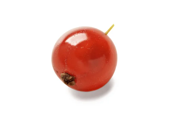 Groselha vermelha — Fotografia de Stock