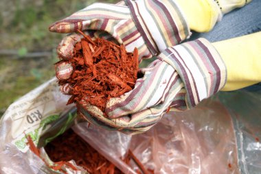Gardening with Red Mulch clipart