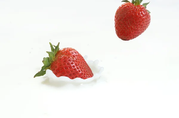 Strawberries Falling in Milk — Stock Photo, Image