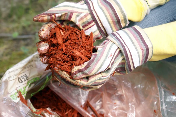 Gardening with Red Mulch — Stock Photo, Image