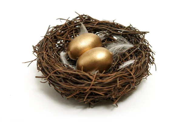 Golden Eggs — Stock Photo, Image