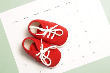 Baby Shoes clipart