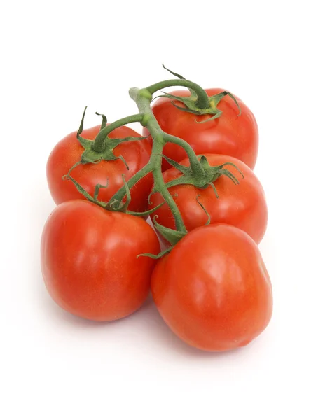 Tomato Vine — Stock Photo, Image
