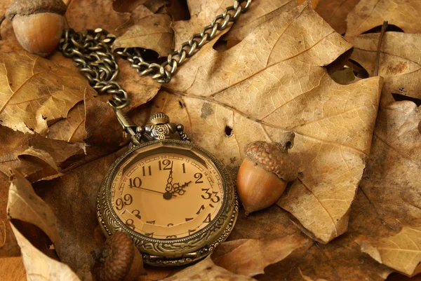 Czas jesieni — Zdjęcie stockowe