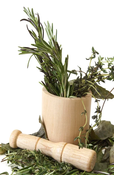 Preparing Herbs — Stock Photo, Image