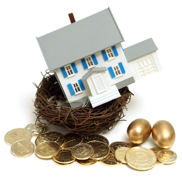 House in a Nest — Stock Photo, Image