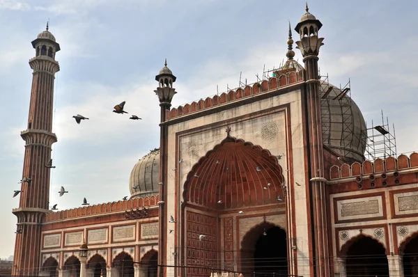 Mezquita de Jama Masjid — Foto de Stock