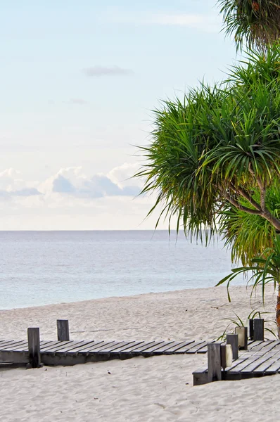 Экзотический пляж острова — стоковое фото