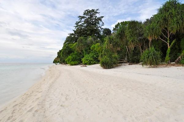 Экзотический пляж острова — стоковое фото