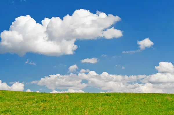 Голубое небо и летнее поле — стоковое фото