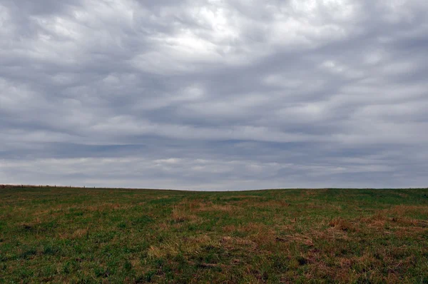 stock image Open Field