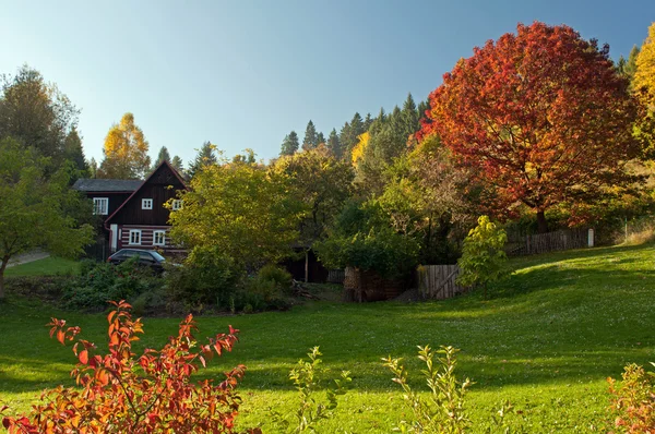 Autumn Countryside — Zdjęcie stockowe