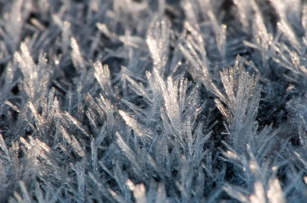 Detalhe de Frost — Fotografia de Stock