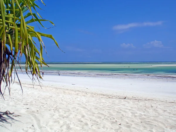 Praia em Zanzibar — Fotografia de Stock