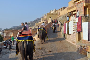 amber fort, Hindistan fil binmek