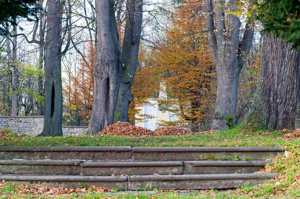 Parque durante el otoño — Foto de Stock