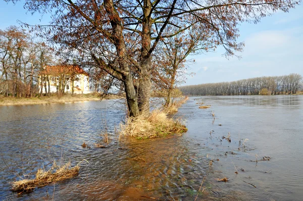 Inundații în cehă — Fotografie, imagine de stoc