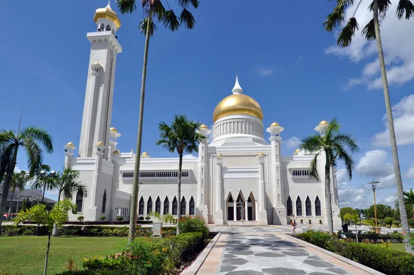 Mezquita de Brunéi — Foto de Stock