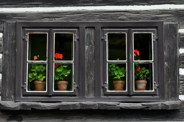 stock image Old Windows