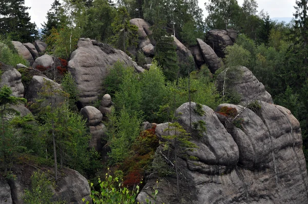 Kayalar grup — Stok fotoğraf