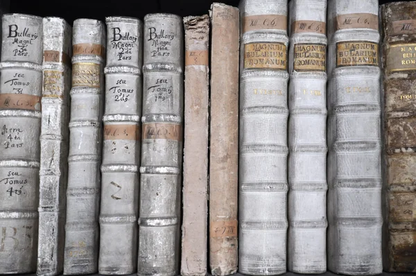 Detail of line of books — Stock Photo, Image