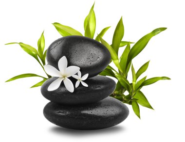 Spa still life on white background clipart