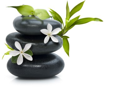 Spa still life with white flowers clipart