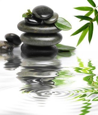 Wet stones with a green leafs in the water clipart