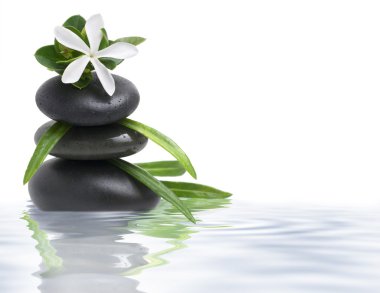 White flower and spa stones in water on white clipart