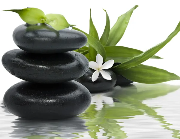 Wellness-Stillleben mit schwarzen Steinen und Bambusblättern im Wasser — Stockfoto