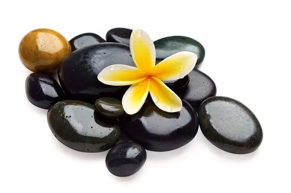 Spa still life with yellow flower on the wet stones — Stock Photo, Image