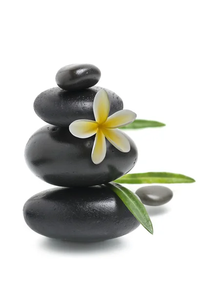 Spa still life, Stack of pebbles with yellow flower — Stock Photo, Image