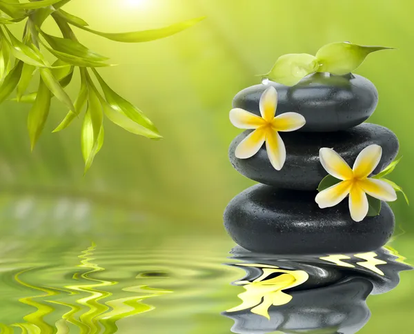 Wellness-Stillleben, mit gelben Blüten auf den schwarzen Steinen und Bambus — Stockfoto