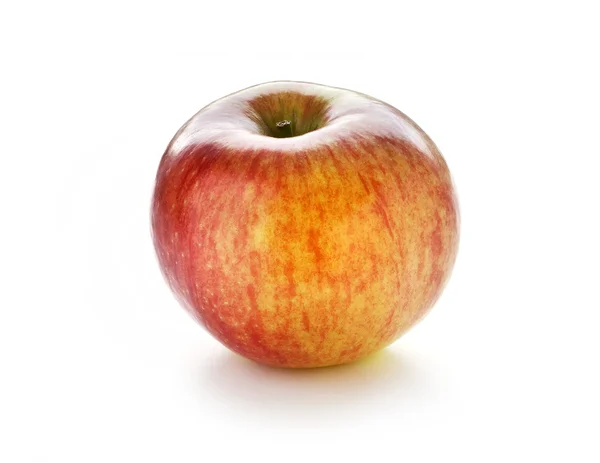 Färskt äpple på vit bakgrund Stockbild