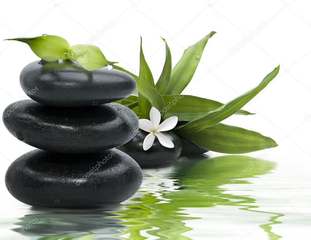 Zen stones with leaves and white flower in water