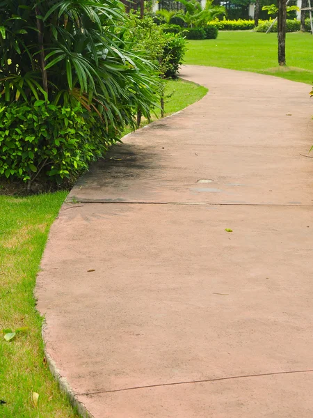 Stock image Pathway in a garden